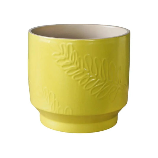 Botanist Lime Leaf Embossed Planter - House of Kojo