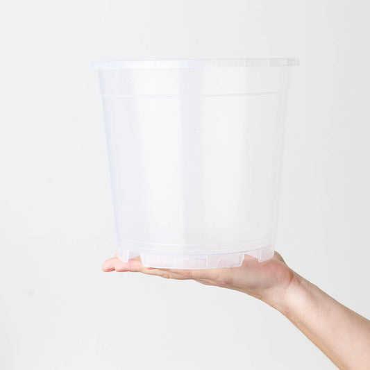 Clear Orchid Pots 21cm | Transparent Nursery Pot - House of Kojo