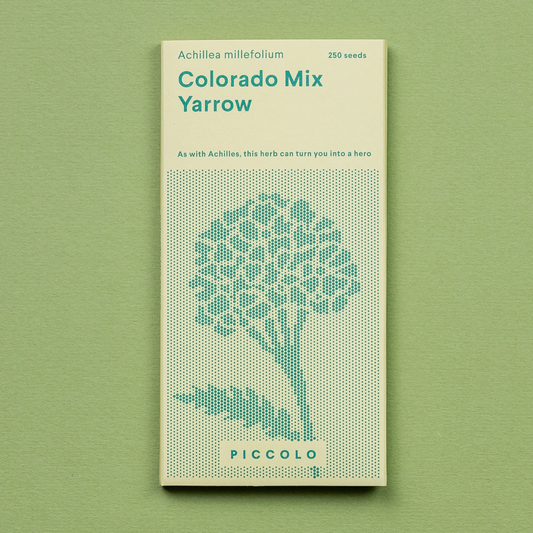 Yarrow 'Colorado Mix' Seeds - House of Kojo