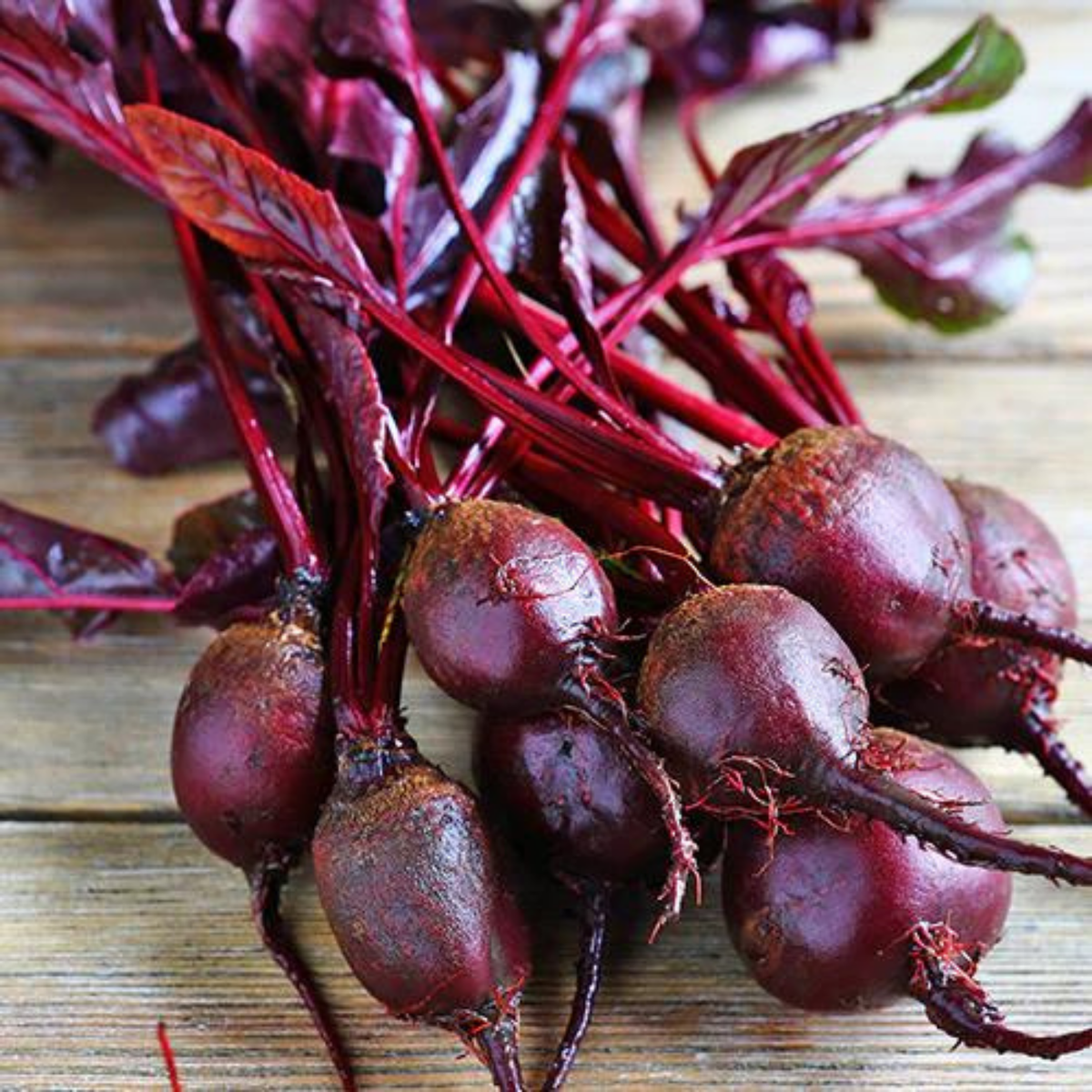 Beetroot 'Bull's Blood' Seeds - House of Kojo