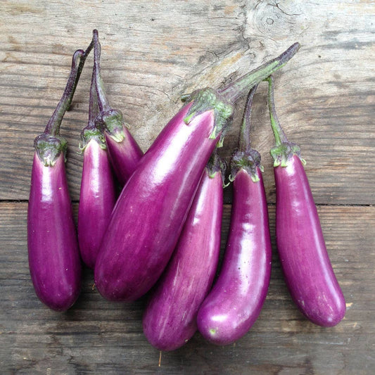 Aubergine 'Slim Jim' Seeds - House of Kojo