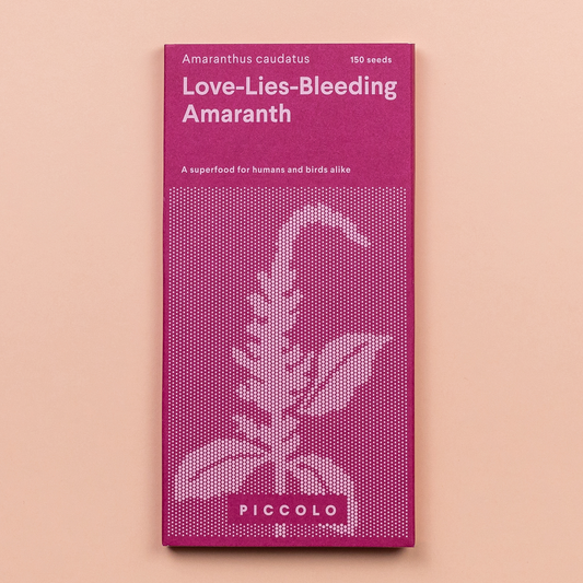 Amaranth 'Love Lies Bleeding' Seeds - House of Kojo