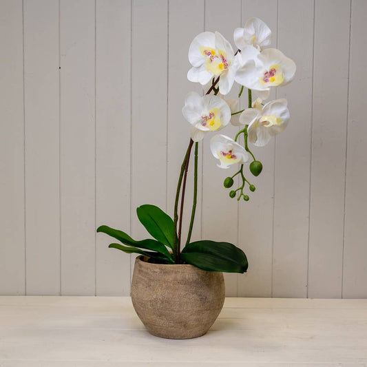 Grey Cement Planter 15cm - House of Kojo