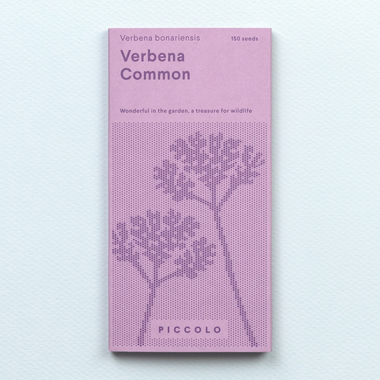 Verbena bonariensis Seeds - House of Kojo