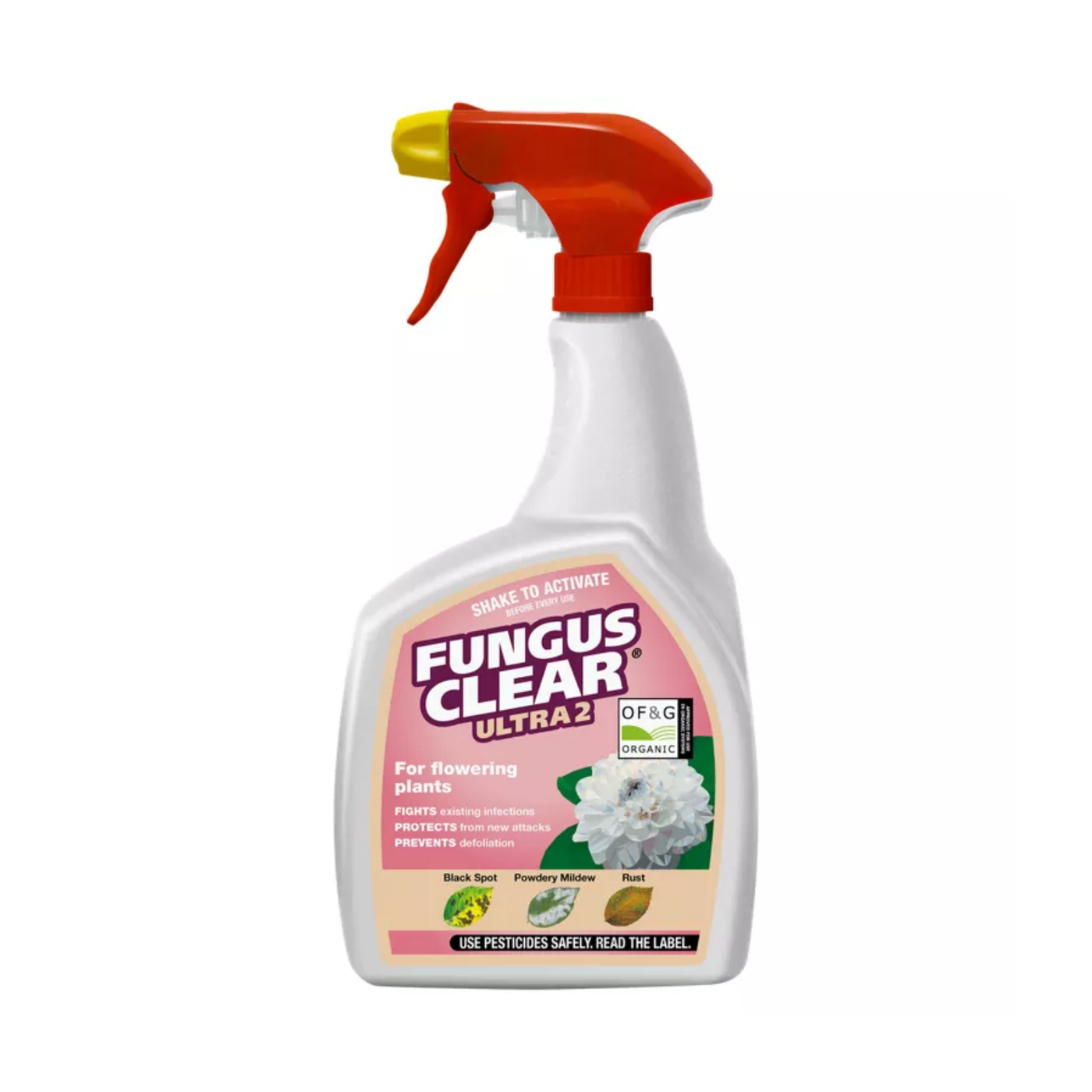 FungusClear Ultimate 2 Ready to Use Spray 800ml - House of Kojo