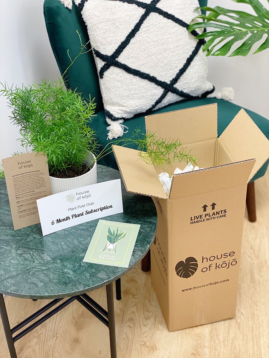 ThePlantRescuer Rescue Box