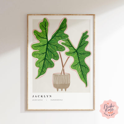 Alocasia Jacklyn Art Print - House of Kojo