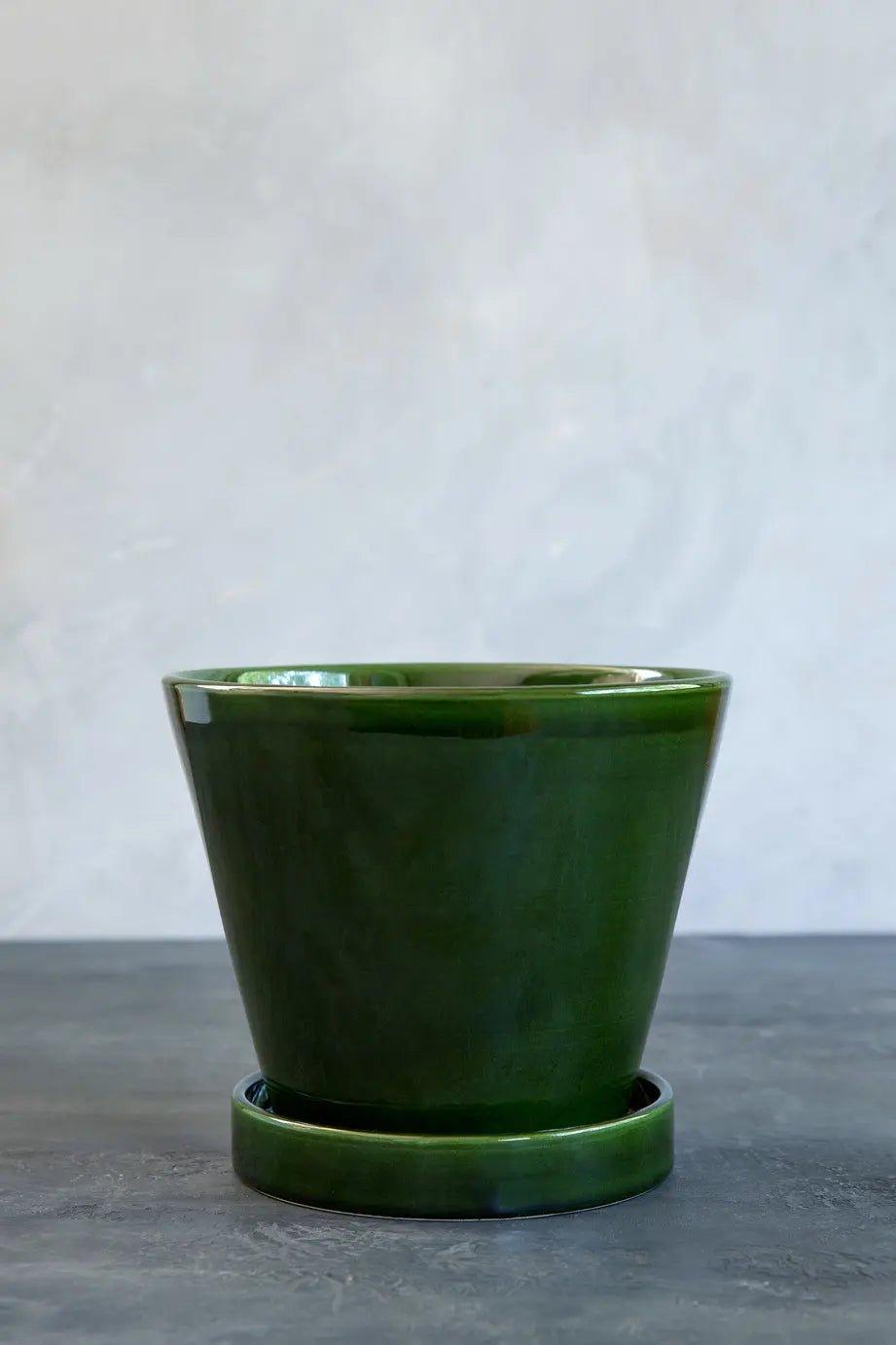 Bergs Potter Julie Pot Glazed Green Pot - House of Kojo