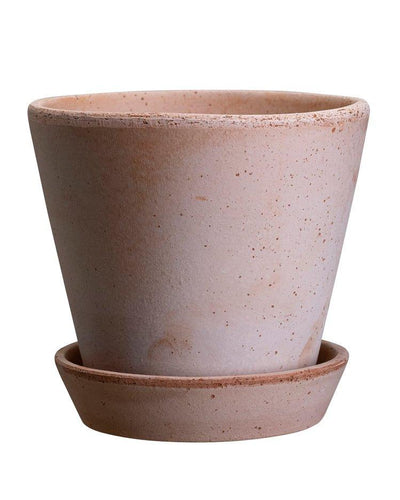 Bergs Potter Julie Pot Rose - House of Kojo