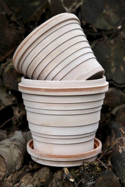 Bergs Potter Planets Pot Rose - House of Kojo