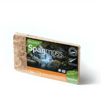 Besgrow Sphagnum Moss | New Zealand long fibre moss - House of Kojo