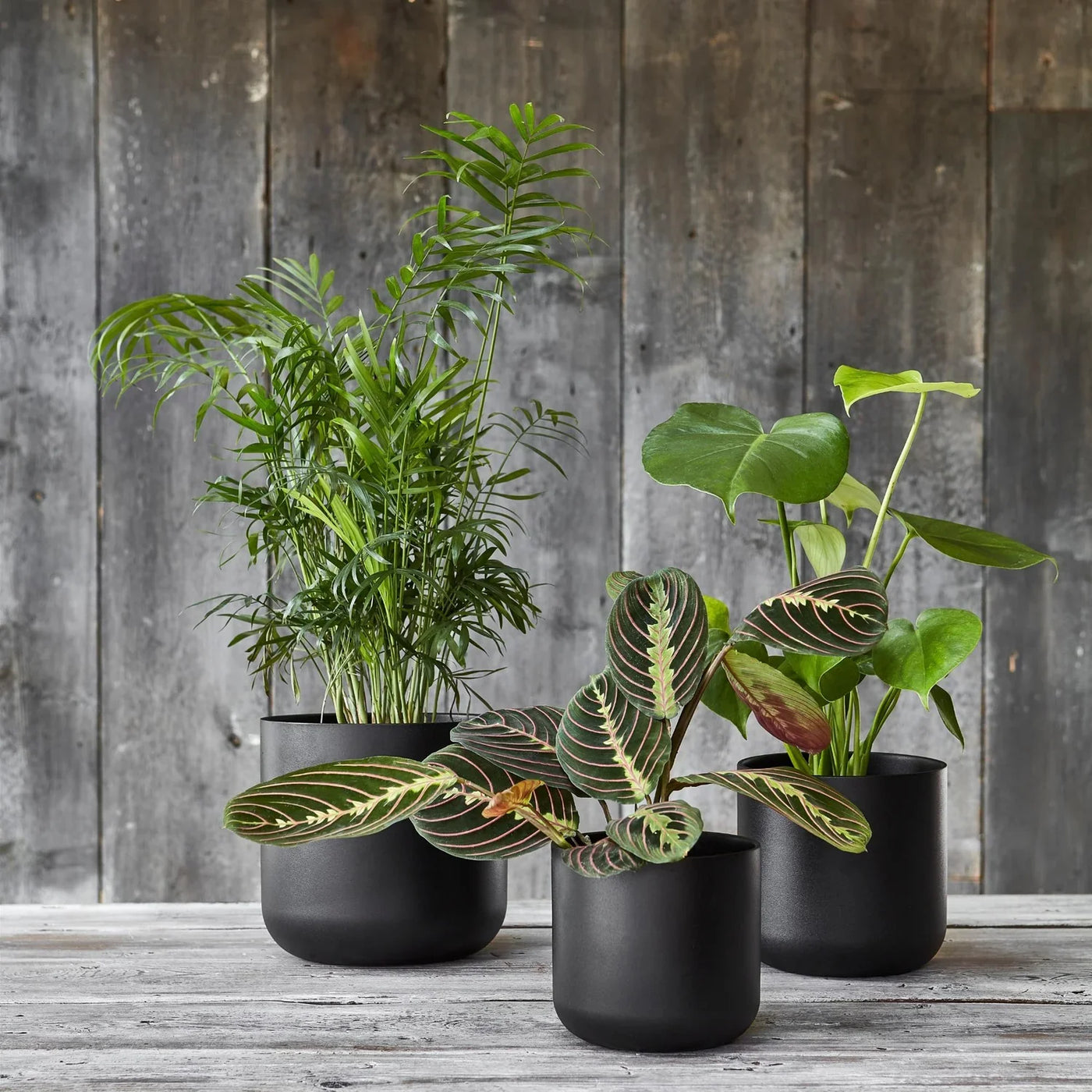 Lisbon Anthracite Plant Pot - House of Kojo