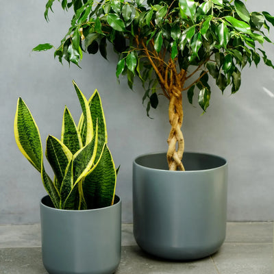 Lisbon Charcoal Plant Pot - House of Kojo