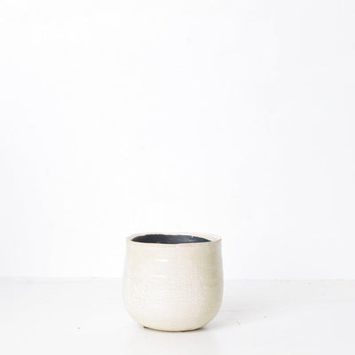 Como Ivory Plant Pot - House of Kojo