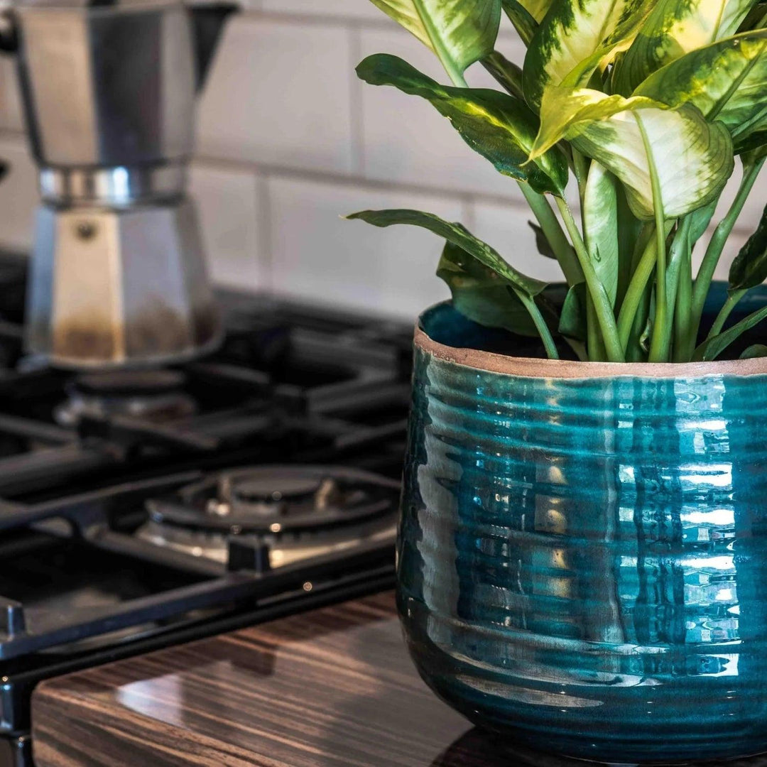 Como Turquoise Plant Pot