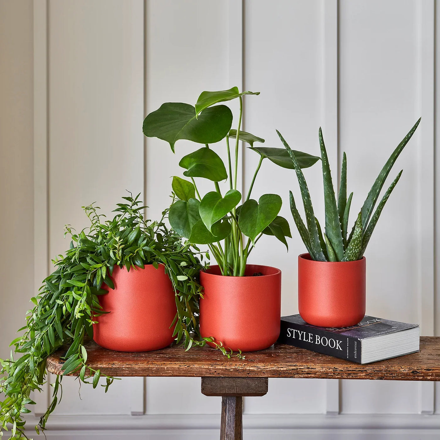 Lisbon Coral Plant Pot - House of Kojo