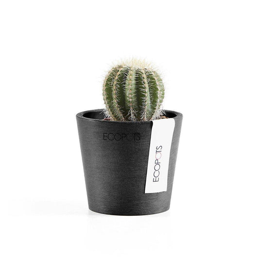 Ecopots Amsterdam Black - House of Kojo