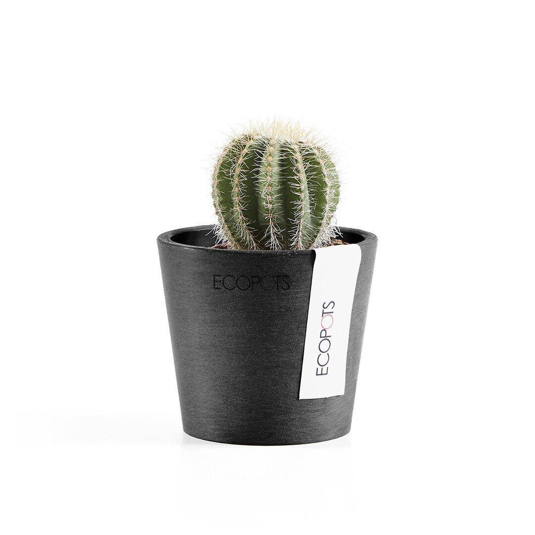 Ecopots Amsterdam Recycled Plastic Pot Black - House of Kojo