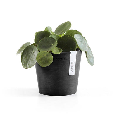 Ecopots Amsterdam Recycled Plastic Pot Black 13cm / Black