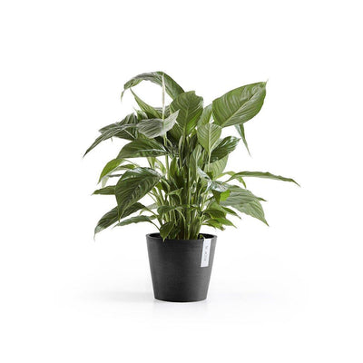 Ecopots Amsterdam Black - House of Kojo