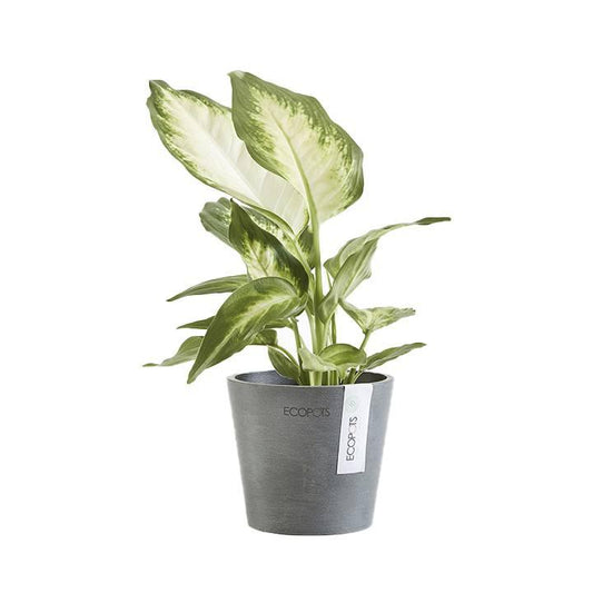 Ecopots Amsterdam Grey - House of Kojo