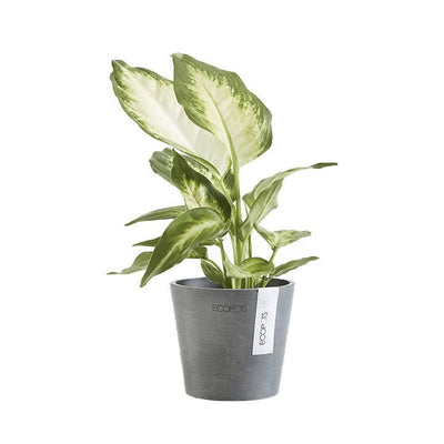Ecopots Amsterdam Grey - House of Kojo