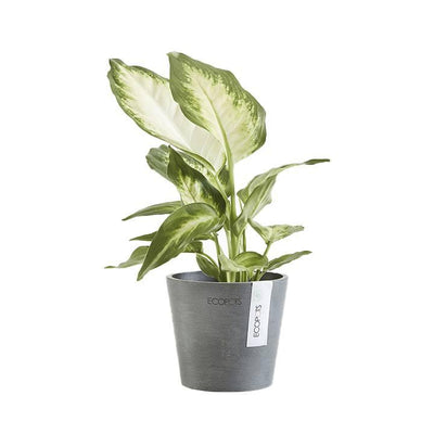 Ecopots Amsterdam Recycled Plastic Pot Grey - House of Kojo