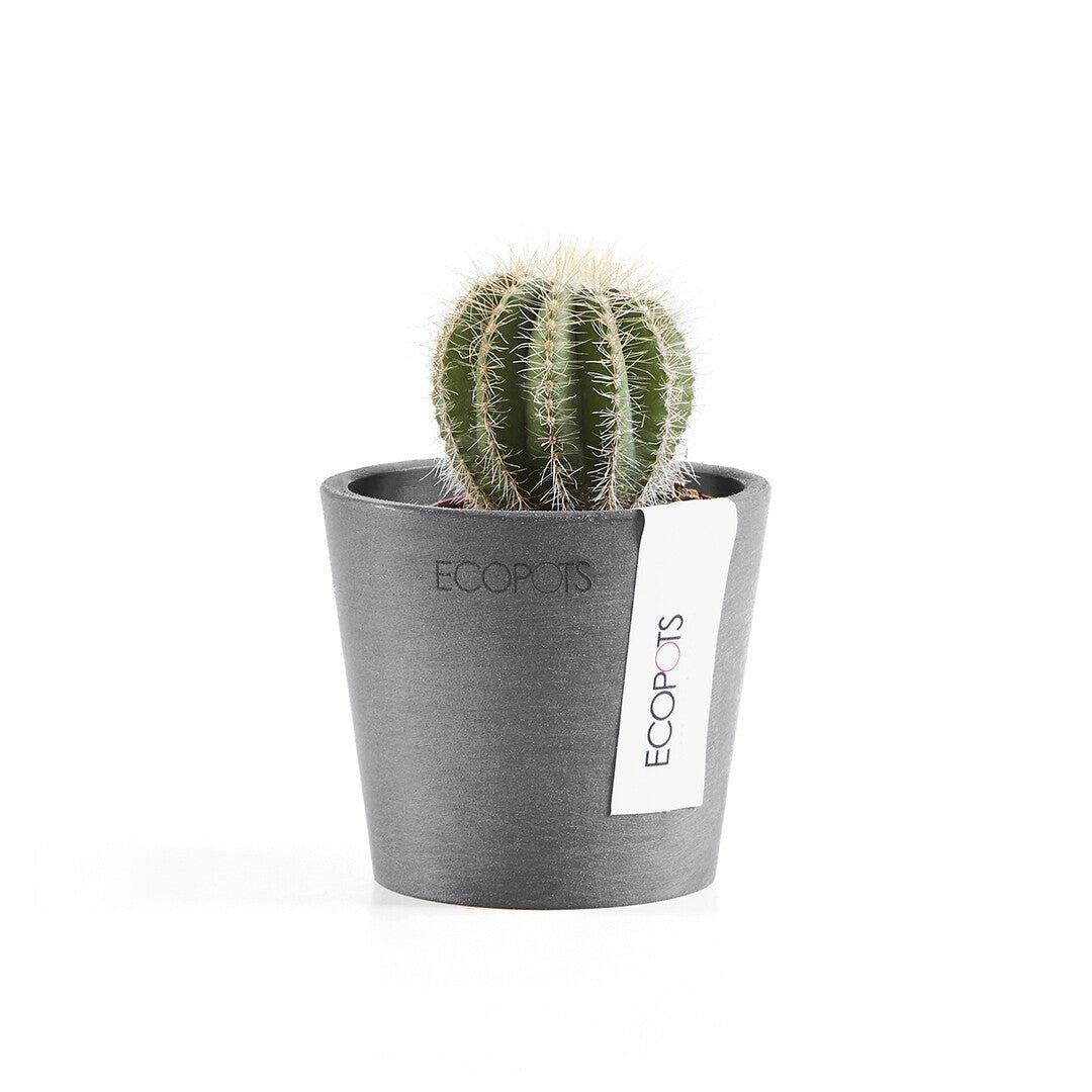 Ecopots Amsterdam Recycled Plastic Pot Grey - House of Kojo