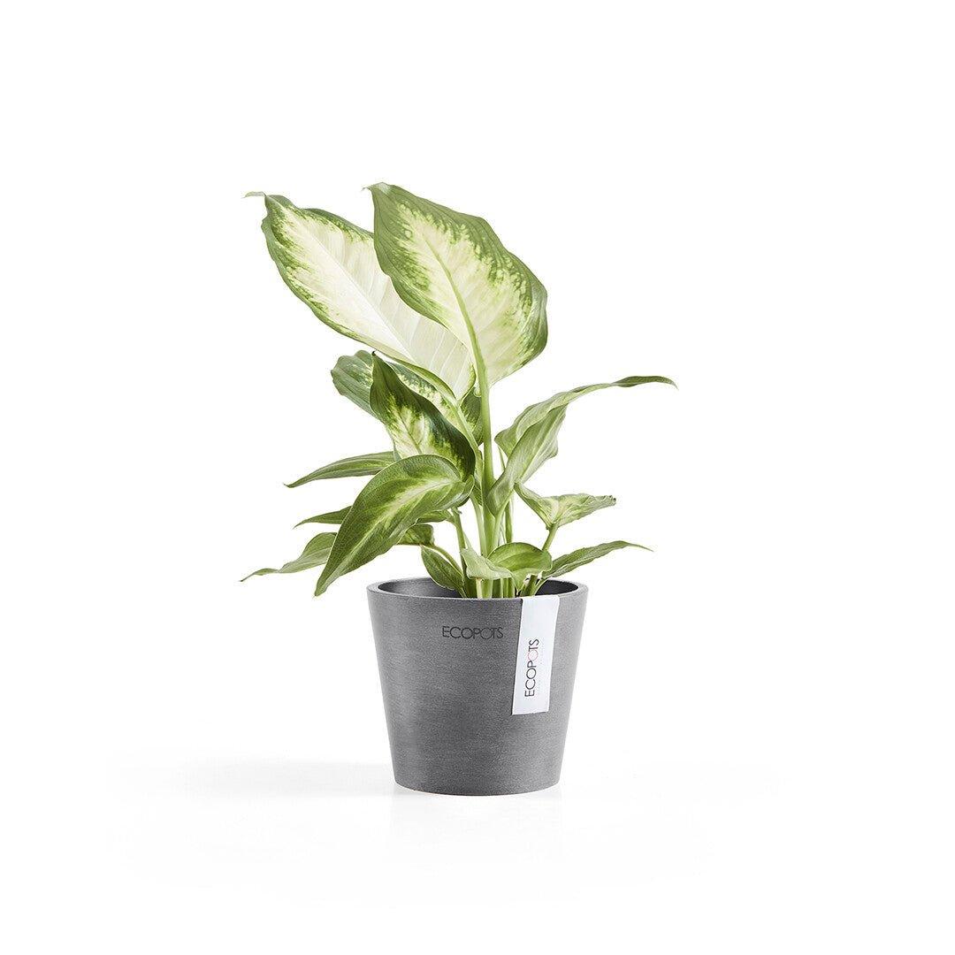 Ecopots Amsterdam Recycled Plastic Pot Grey - House of Kojo