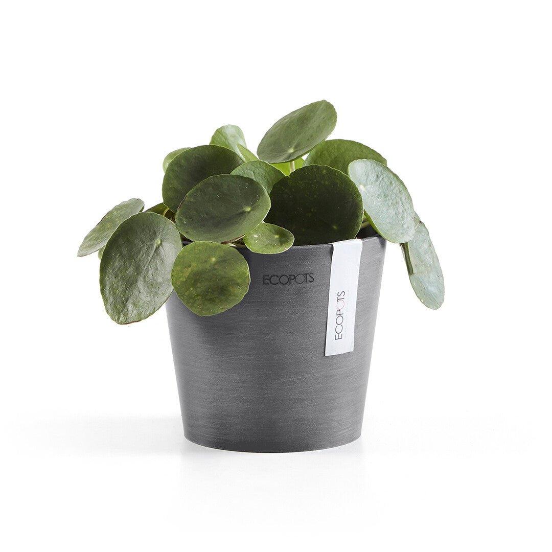 Ecopots Amsterdam Recycled Plastic Pot Grey - House of Kojo