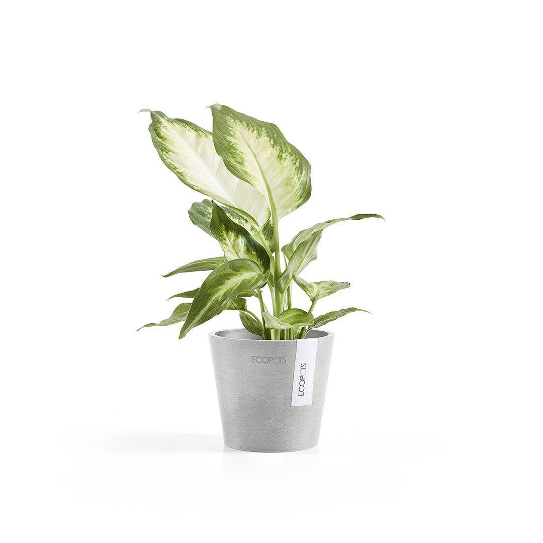 Ecopots Amsterdam Recycled Plastic Pot Light Grey - House of Kojo