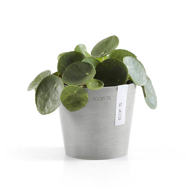 Ecopots Amsterdam Recycled Plastic Pot Light Grey 13cm / Light Grey