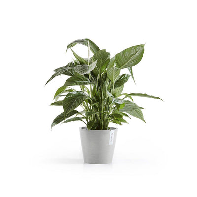 Ecopots Amsterdam Light Grey - House of Kojo