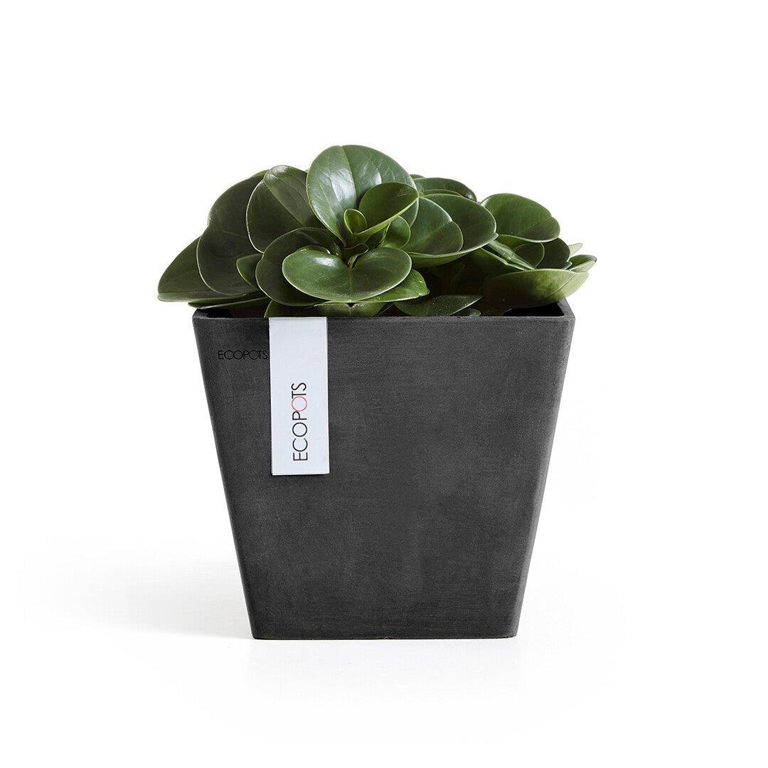 Ecopots Rotterdam Recycled Plastic Pot Black - House of Kojo