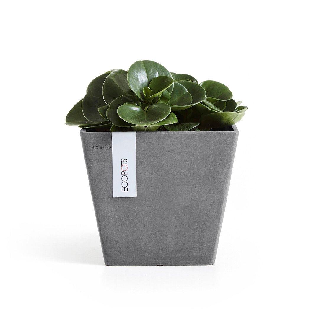 Ecopots Rotterdam Recycled Plastic Pot Grey - House of Kojo