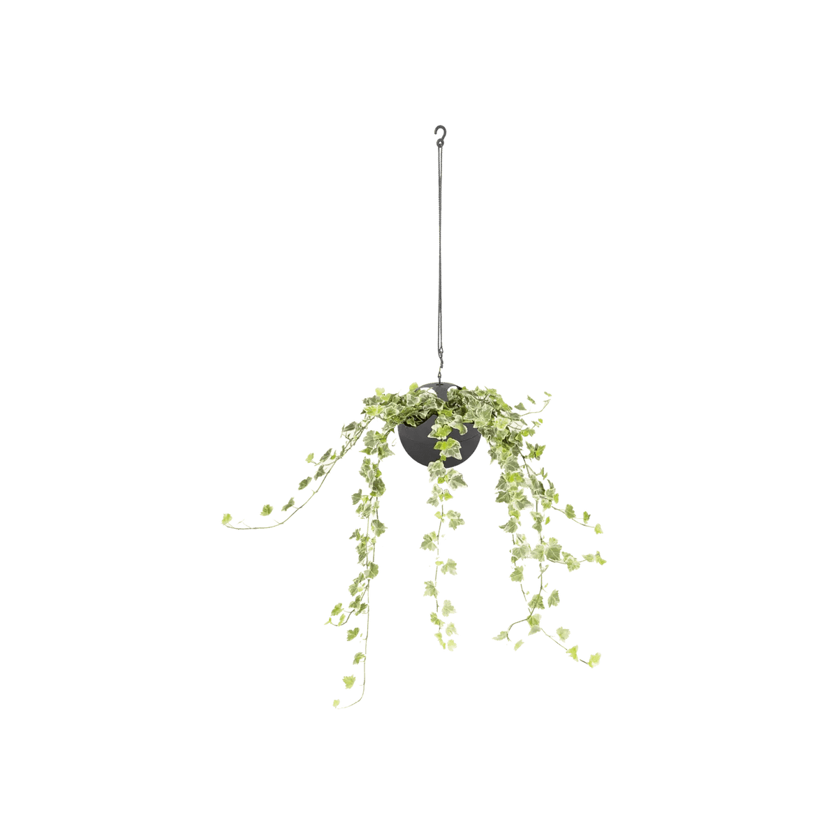 Elho B.For Soft Air Hanging Planter - House of Kojo