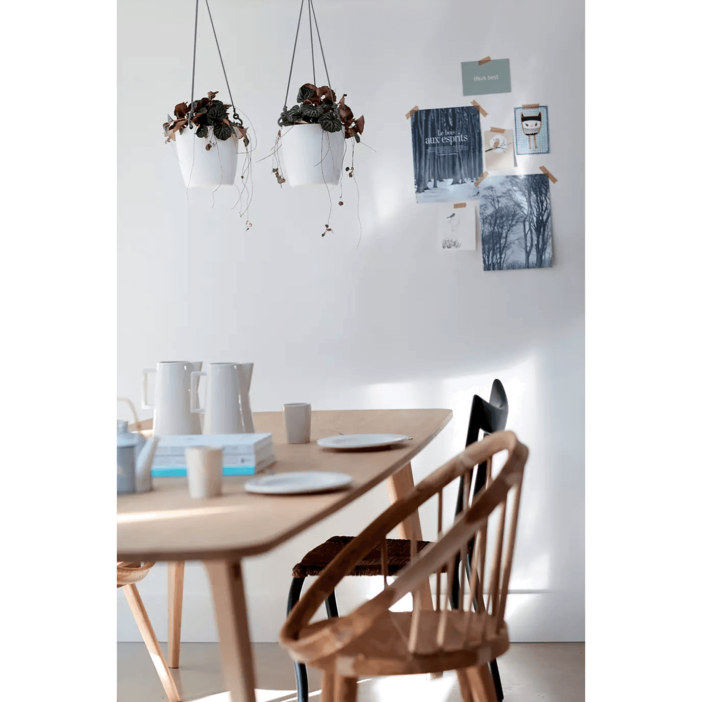 Elho Brussels Hanging Basket - House of Kojo