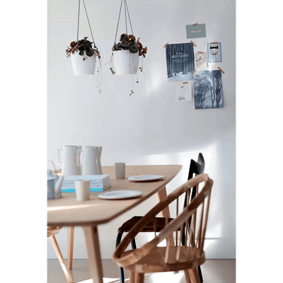 Elho Brussels Hanging Basket - House of Kojo