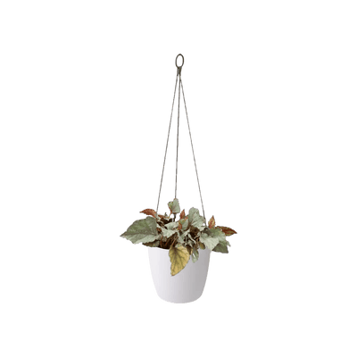 Elho Brussels Hanging Basket - House of Kojo