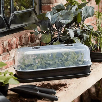 Elho Green Basics Grow Tray - House of Kojo