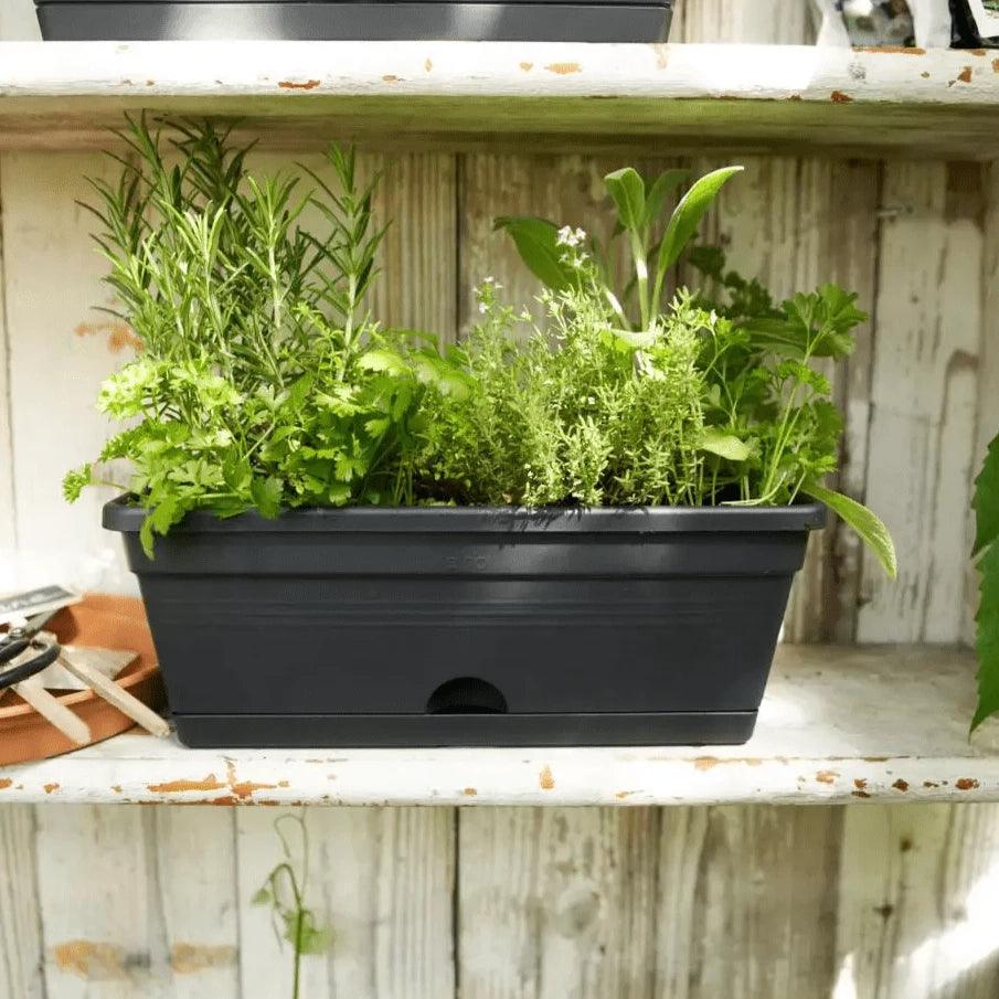 Elho Green Basics Mini Trough Pot - House of Kojo