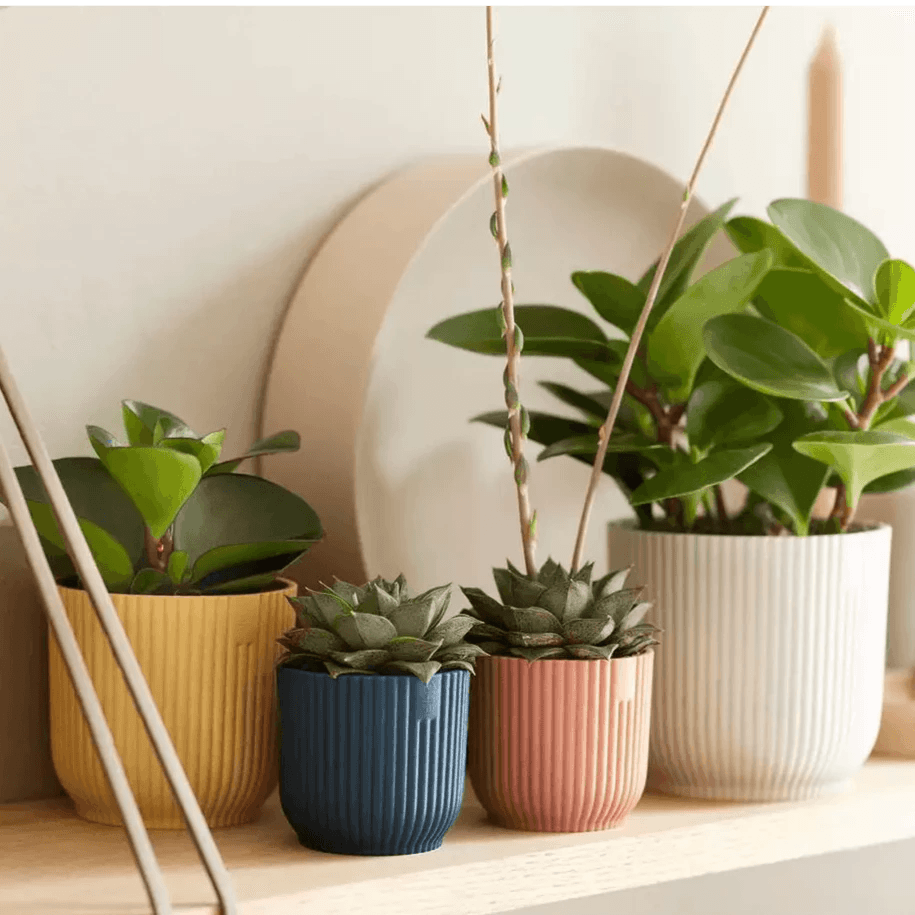 Elho Vibes Fold Mini Round Pot - House of Kojo