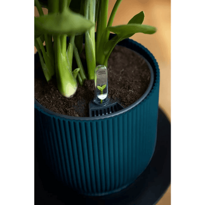 Elho Vibes Fold Mini Round Pot - House of Kojo