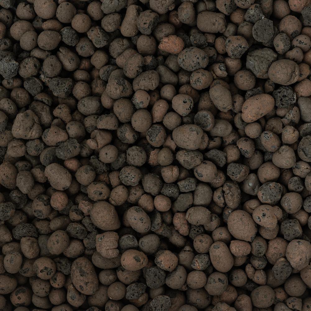 GrowTropicals Clay Pebbles 10-20mm Grade - House of Kojo