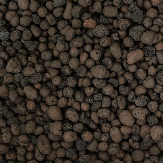 GrowTropicals Clay Pebbles 10-20mm Grade - House of Kojo