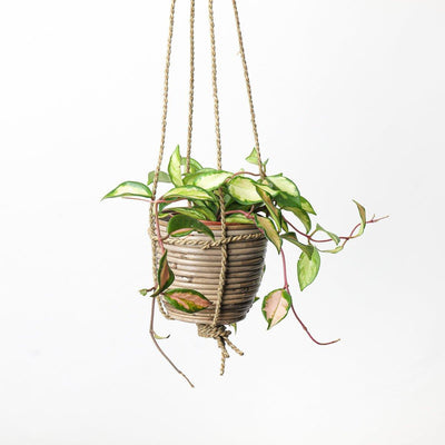 Hanging Bamboo Pot - House of Kojo