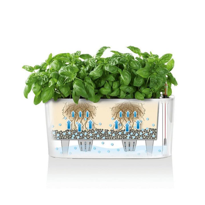 lechuza plant pot Lechuza Delta 10 Self Watering Plant Pot