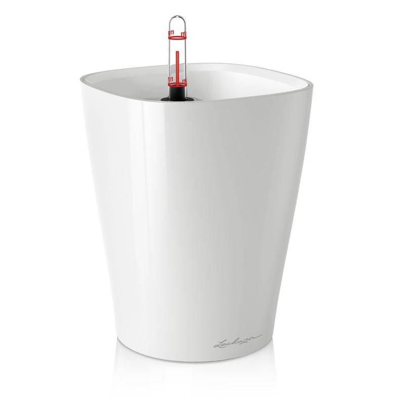 Lechuza DELTINI Self Watering Plant Pot - House of Kojo