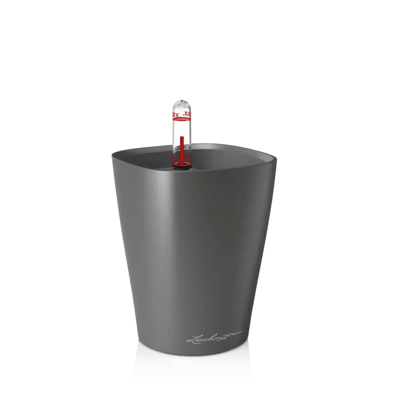 Lechuza MINI DELTINI Self Watering Plant Pot - House of Kojo