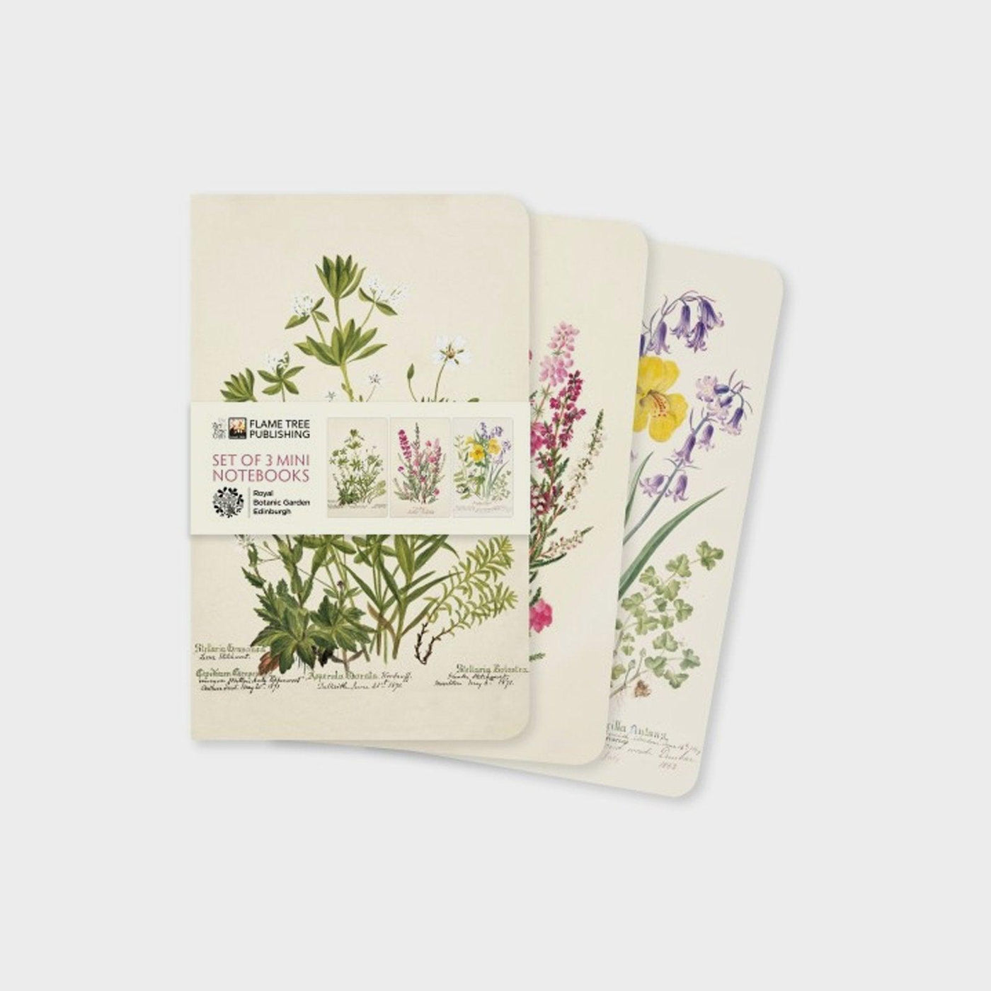 Royal Botanic Garden Edinburgh Set of 3 Mini Notebooks - House of Kojo